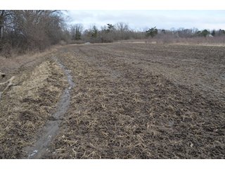 Property photo 15 - 173 +/- Acres Offered in 3 Tracts - Ohio Farmland